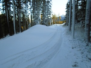 Snow is accumulating on the trails at Canmore Nordic Centre