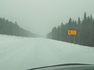 Hwy #40 in Peter Lougheed Provincial Park at 11:29 a.m.