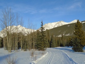 The Bill Milne trail offers spectacular scenery