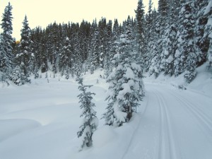 Elk pass. Can you spot the skier in this photo?