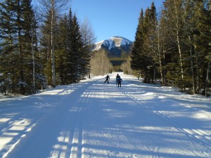 Bill Milne trail is groomed for classic and skating