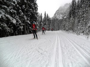Red Deer Nordic ski club was out in full force