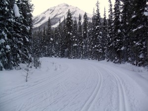 Moraine Lake road had some fresh snow over yesterday's grooming
