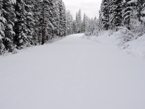 Chuck broke trail in 25 cm of new snow to the end of Moraine Lake road. Photo by Chuck O'Callaghan