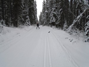 Another skier approaches and the "boss" retreats to the side of the trail