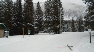 Rolly road trailhead. The access trail to the grid is where my skis are sitting.