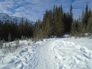 When starting out on Goat creek, the trail is ungroomed for the first 900 metres. 