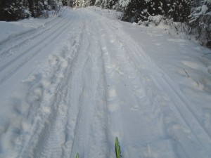 Destruction of ski tracks by fat bikers
