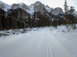 The view of Rundle Mountain from Cold shoulder at Canmore Nordic Centre