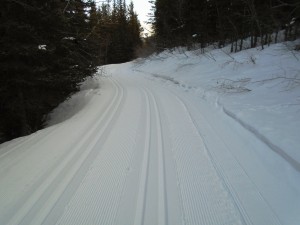 Excellent snow and tracks on upper Kovach near the Lookout.