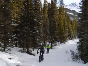 The fat bikes stayed out of the tracks on Goat creek