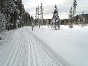 Protection Mountain campground has double-trackset trails