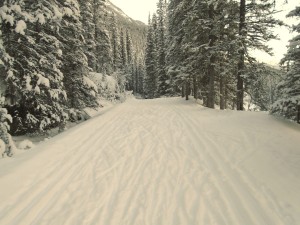 The final 5.5K into Banff had seen a lot of skiers today. The trail also had a lot of new snow. 