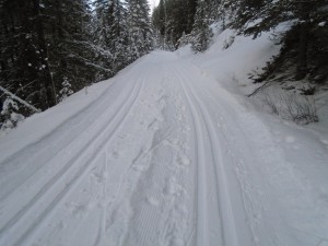 Spray river east had good tracks that were not yet abused by walkers and snowshoers