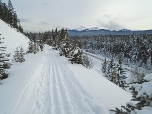 A very scenic trail with 5 cm of fresh snow