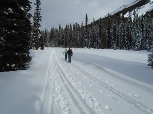 Tyrwhitt had lots of fresh snow but the tracks were still good and fast