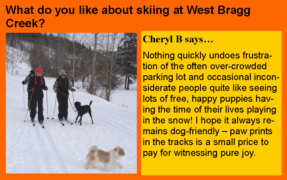 West Bragg Creek and dogs