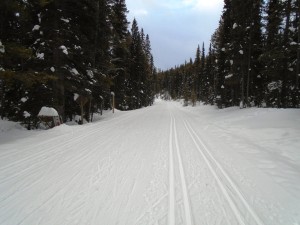 Excellent conditions on Moraine Lake road