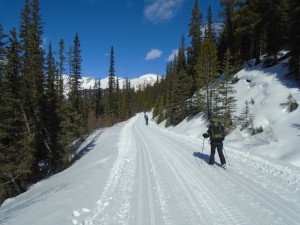 Great conditions on Lake O'Hara fire road