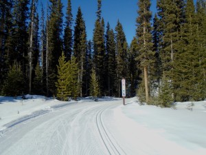 If you want to ski on steep hills, try the 10K yellow at Mt Shark