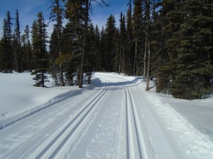 Sunny areas on Tyrwhitt had great tracks but the snow was wet