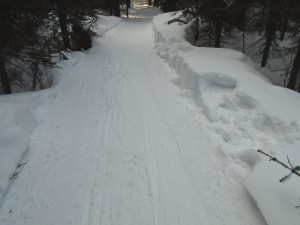 Evidence of snow shoveling on Fox Creek.