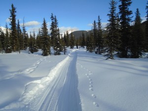 The final 2.8K to Shadow Lake Lodge is a snowmobile packed trail