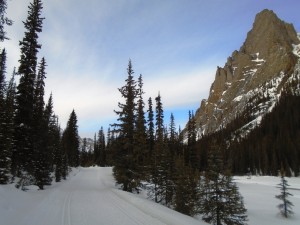 Magnificent scenery on Lake O'Hara fire road