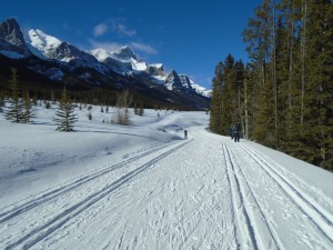 Banff trail at Canmore Nordic Centre