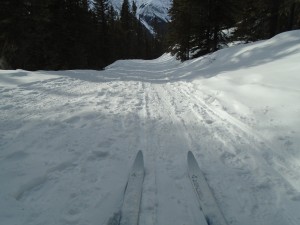 Goat Creek has no set tracks but the snow was cold