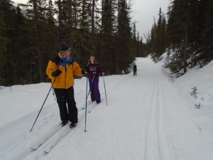 Kevin at the front, Connie at the rear on wider skis, and the young lady in the middle had come all the way from Goat Creek trailhead. 