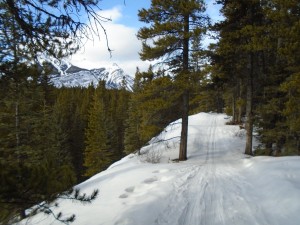 This exposed section of Moraine was a bit icy, but otherwise the trail was in great shape