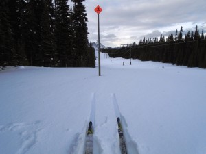 The snowshoe trail had no snowshoe tracks