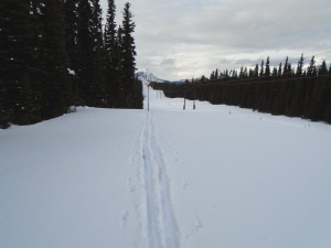 Ski tracks - a magnet for snowshoers