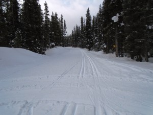 Moraine Lake road beyond the Fairview junction was skier tracked