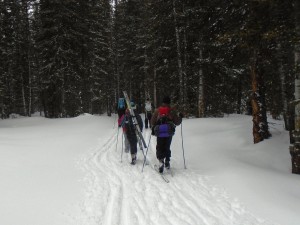 Skiers returning from the Elk Lakes cabin