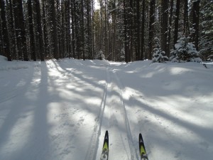 Good conditions on Lynx