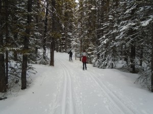 Amos had about 6 - 8 cm of fresh snow but the tracks were still good