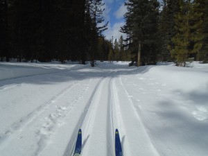 The tracks on the Pipestone trails were in good shape for the most part