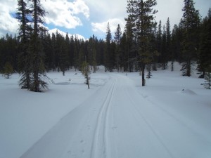 The Pipestone loop near the north end had fabulous conditions