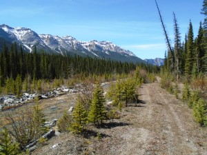 The High Rockies trail and Goat creek