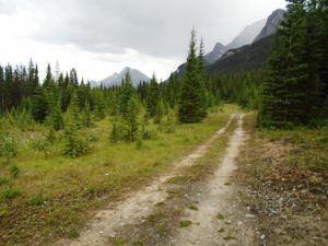 Spectacular views along the High Rockies trail