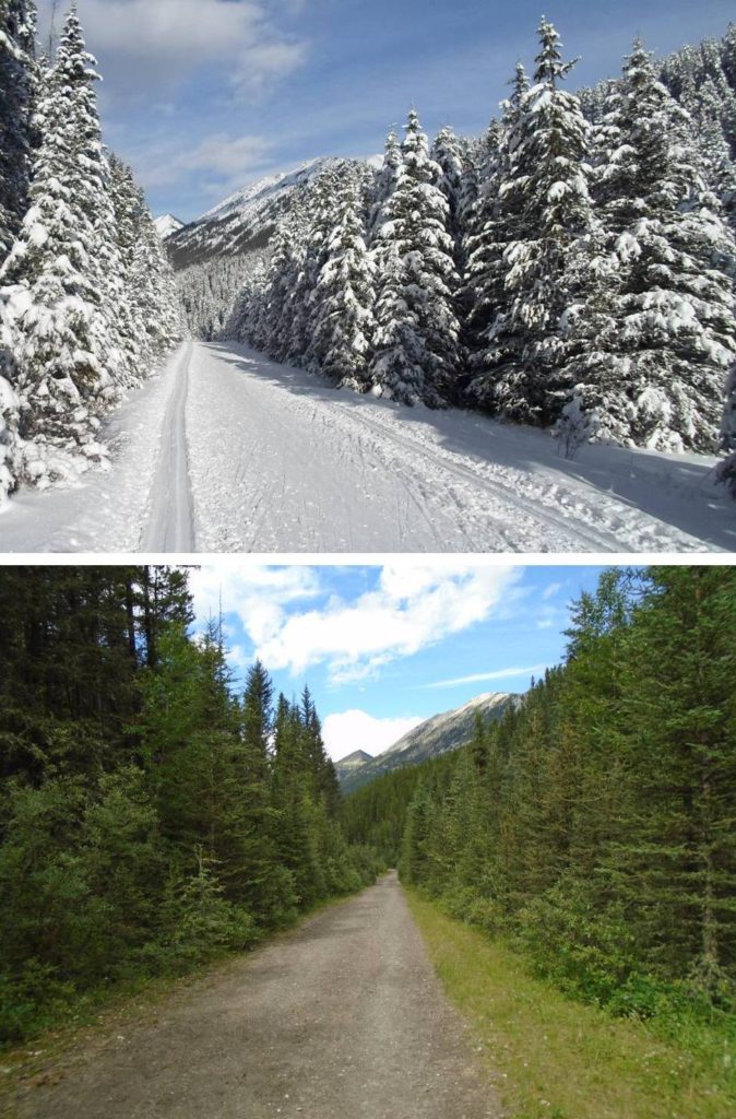 Do you prefer Cascade Valley in the winter or summer?
