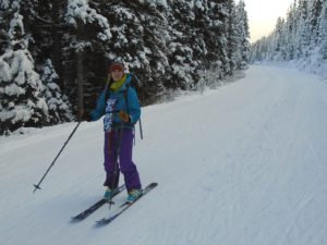 It was a pleasure to meet our newest Trip reporter, Anna Elkins. You can read about her ski into Paradise Valley on the Backcountry reports. 