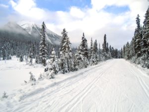 Great Divide was trackset this morning