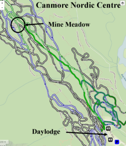 Banff Trail is trackset for 2.5K, from the daylodge to the mine meadow. 