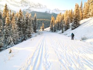 You first have to ski down Lake Minnewanka road for 750 metres to access Cascade Valley