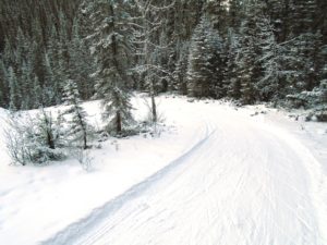 This turn is about 100 metres from the Goat Creek bridge. It's a good idea to remove your skis and walk as there are many exposed rocks on the way down. 