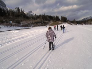 Beginner skiers were learning to ski on the four-lane lesson grid