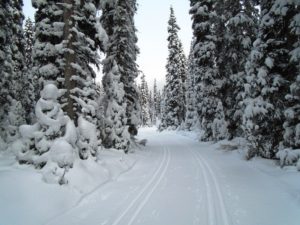 Winter wonderland on Elk Pass